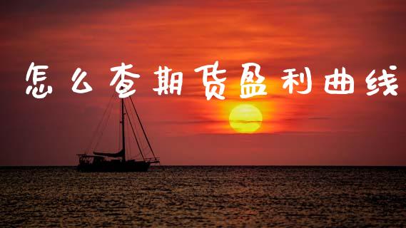 怎么查期货盈利曲线_https://m.fsyjjx.cn_期货保证金计算_第1张