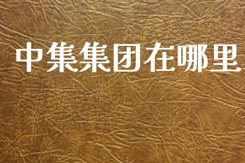 中集集团在哪里_https://m.fsyjjx.cn_期货保证金计算_第1张
