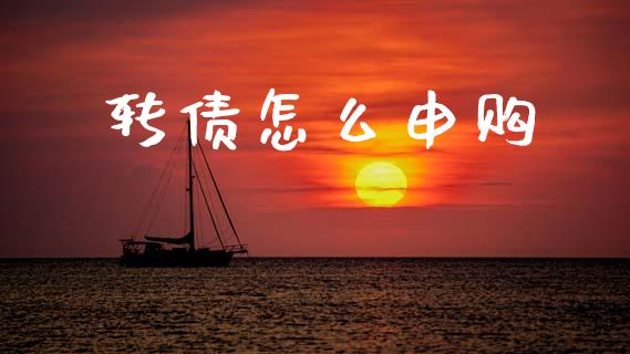 转债怎么申购_https://m.fsyjjx.cn_期货保证金_第1张