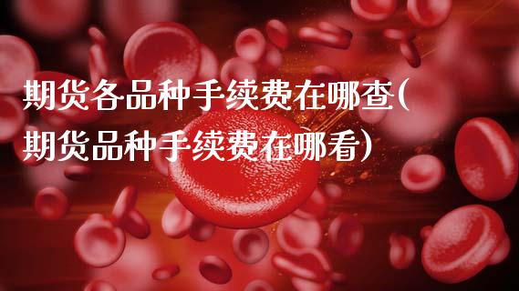 期货各品种手续费在哪查(期货品种手续费在哪看)_https://m.fsyjjx.cn_期货如何开户_第1张