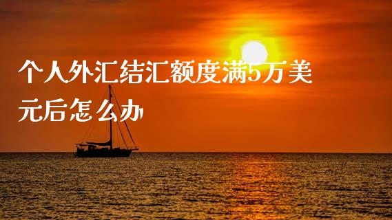 个人外汇结汇额度满5万美元后怎么办_https://m.fsyjjx.cn_期货保证金_第1张
