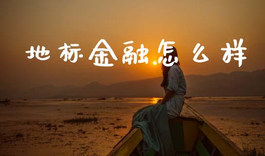 地标金融怎么样_https://m.fsyjjx.cn_期货保证金_第1张