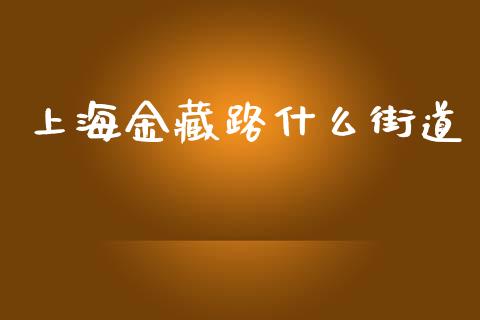 上海金藏路什么街道_https://m.fsyjjx.cn_股指期货保证金_第1张