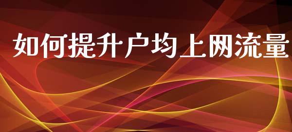 如何提升户均上网流量_https://m.fsyjjx.cn_期货如何开户_第1张
