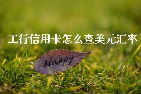 工行信用卡怎么查美元汇率_https://m.fsyjjx.cn_期货保证金计算_第1张