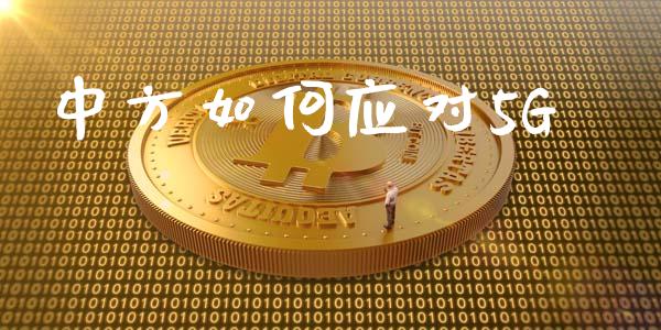 中方如何应对5G_https://m.fsyjjx.cn_股指期货保证金_第1张