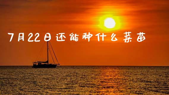 7月22日还能种什么菜苗_https://m.fsyjjx.cn_期货如何开户_第1张