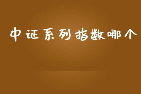 中证系列指数哪个_https://m.fsyjjx.cn_期货保证金计算_第1张