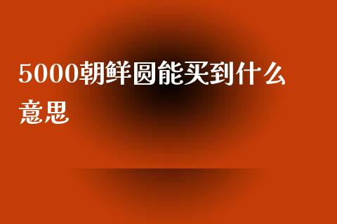 5000朝鲜圆能买到什么意思_https://m.fsyjjx.cn_期货保证金计算_第1张