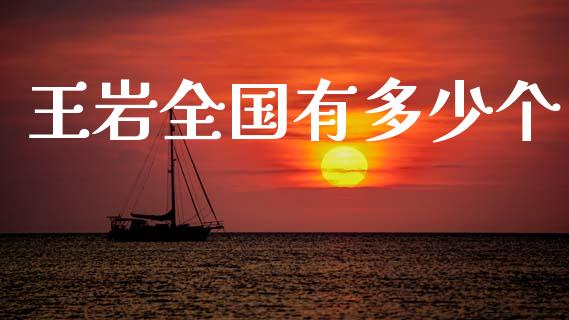 王岩全国有多少个_https://m.fsyjjx.cn_期货如何开户_第1张