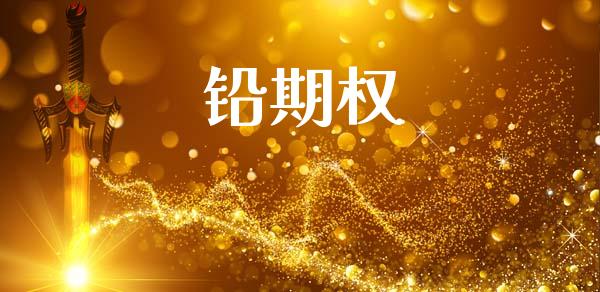铅期权_https://m.fsyjjx.cn_期货保证金_第1张