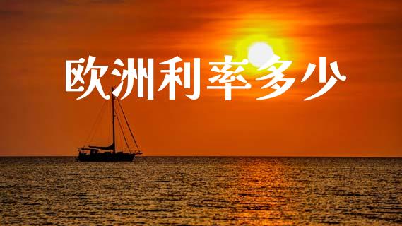 欧洲利率多少_https://m.fsyjjx.cn_股指期货保证金_第1张