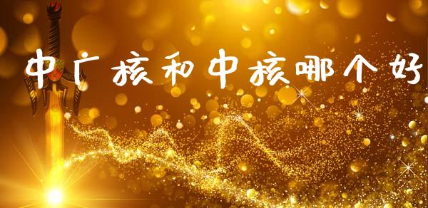 中广核和中核哪个好_https://m.fsyjjx.cn_股指期货保证金_第1张