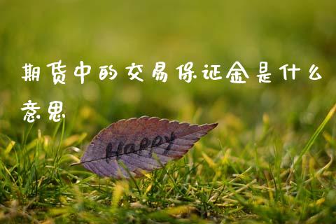 期货中的交易保证金是什么意思_https://m.fsyjjx.cn_股指期货保证金_第1张