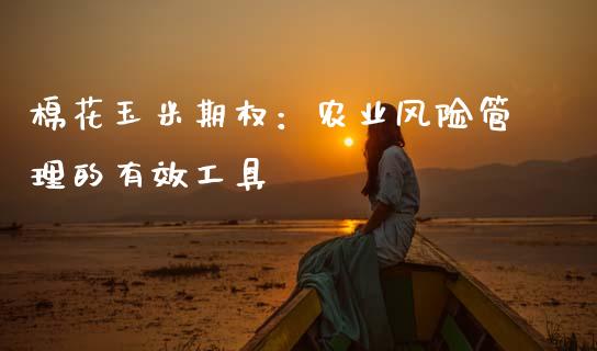 棉花玉米期权：农业风险管理的有效工具_https://m.fsyjjx.cn_期货如何开户_第1张