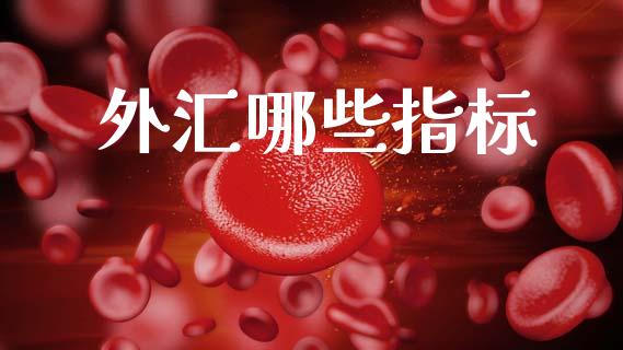 外汇哪些指标_https://m.fsyjjx.cn_股指期货保证金_第1张