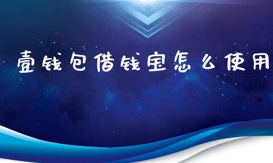 壹钱包借钱宝怎么使用_https://m.fsyjjx.cn_期货保证金计算_第1张