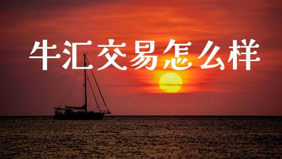 牛汇交易怎么样_https://m.fsyjjx.cn_期货保证金_第1张