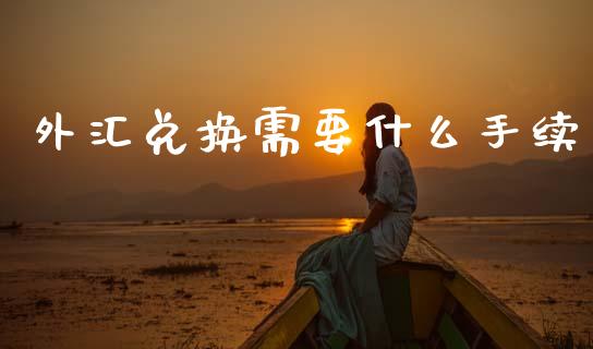 外汇兑换需要什么手续_https://m.fsyjjx.cn_股指期货保证金_第1张