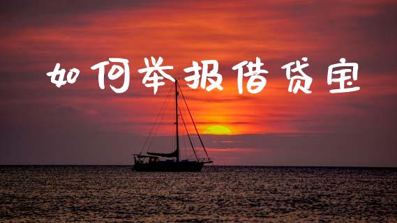 如何举报借贷宝_https://m.fsyjjx.cn_期货保证金_第1张