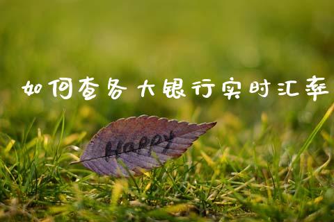 如何查各大银行实时汇率_https://m.fsyjjx.cn_股指期货保证金_第1张