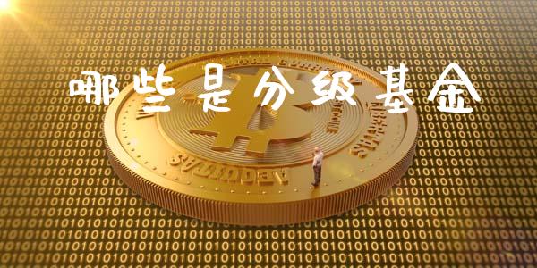 哪些是分级基金_https://m.fsyjjx.cn_期货保证金_第1张