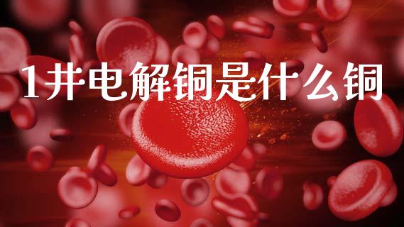 1井电解铜是什么铜_https://m.fsyjjx.cn_期货保证金计算_第1张