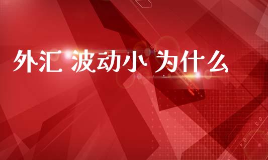 外汇 波动小 为什么_https://m.fsyjjx.cn_股指期货保证金_第1张
