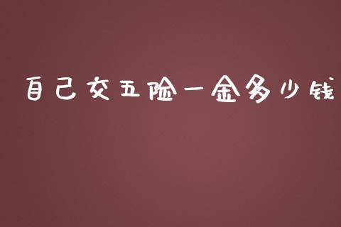 自己交五险一金多少钱_https://m.fsyjjx.cn_期货保证金计算_第1张