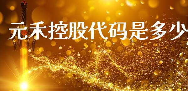 元禾控股代码是多少_https://m.fsyjjx.cn_股指期货保证金_第1张
