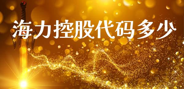 海力控股代码多少_https://m.fsyjjx.cn_股指期货保证金_第1张