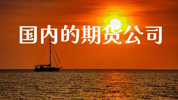 国内的期货公司_https://m.fsyjjx.cn_股指期货保证金_第1张