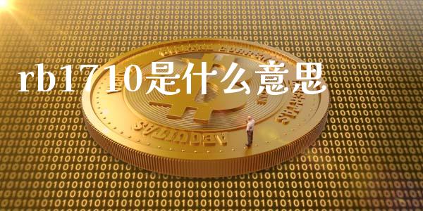 rb1710是什么意思_https://m.fsyjjx.cn_股指期货保证金_第1张