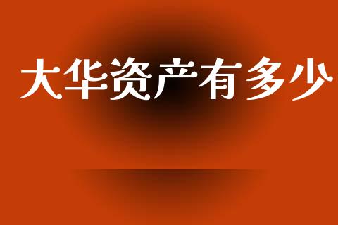 大华资产有多少_https://m.fsyjjx.cn_期货保证金_第1张