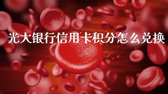 光大银行信用卡积分怎么兑换_https://m.fsyjjx.cn_期货保证金_第1张