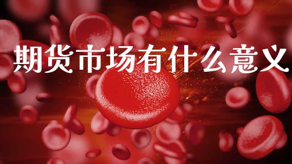 期货市场有什么意义_https://m.fsyjjx.cn_期货保证金计算_第1张