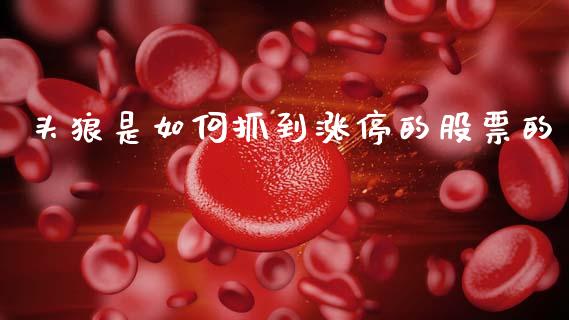 头狼是如何抓到涨停的股票的_https://m.fsyjjx.cn_股指期货保证金_第1张