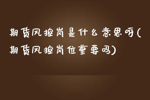 期货风控岗是什么意思呀(期货风控岗位重要吗)_https://m.fsyjjx.cn_期货如何开户_第1张