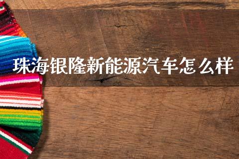 珠海银隆新能源汽车怎么样_https://m.fsyjjx.cn_期货保证金计算_第1张