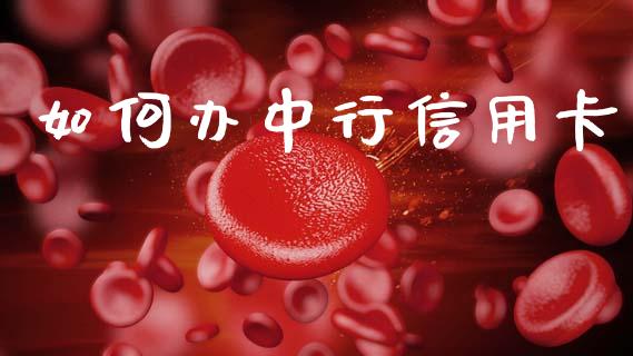 如何办中行信用卡_https://m.fsyjjx.cn_期货保证金_第1张