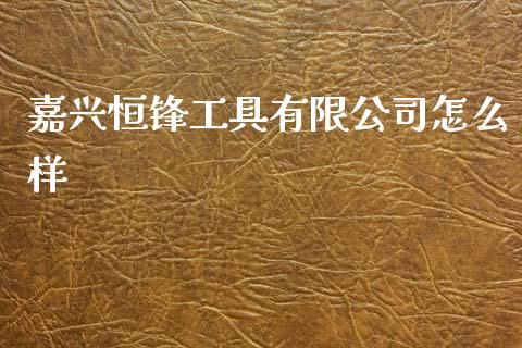 嘉兴恒锋工具有限公司怎么样_https://m.fsyjjx.cn_期货保证金_第1张