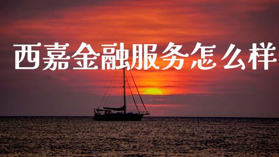 西嘉金融服务怎么样_https://m.fsyjjx.cn_期货保证金_第1张