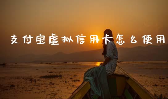 支付宝虚拟信用卡怎么使用_期货保证金计算_第1张_期货如何开户_期货保证金_期货保证金计算_股指期货保证金 支付宝虚拟信用卡怎么使用_https://m.fsyjjx.cn_期货保证金计算_第1张
