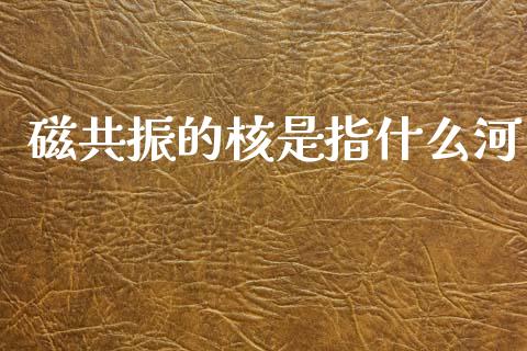 磁共振的核是指什么河_https://m.fsyjjx.cn_期货保证金_第1张