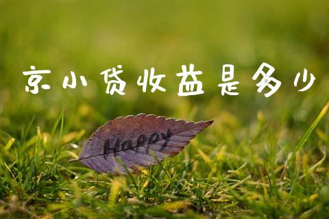 京小贷收益是多少_https://m.fsyjjx.cn_股指期货保证金_第1张