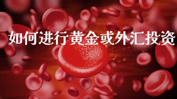 如何进行黄金或外汇投资_https://m.fsyjjx.cn_期货如何开户_第1张