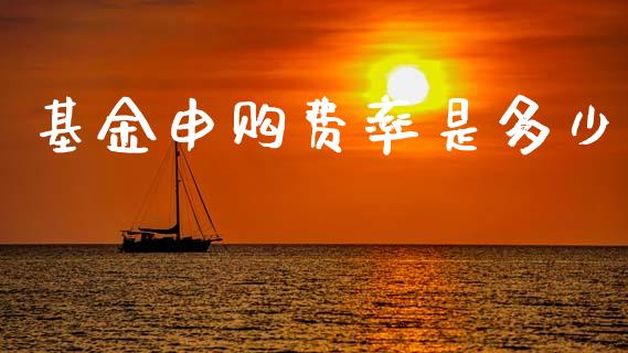 基金申购费率是多少_https://m.fsyjjx.cn_期货保证金计算_第1张