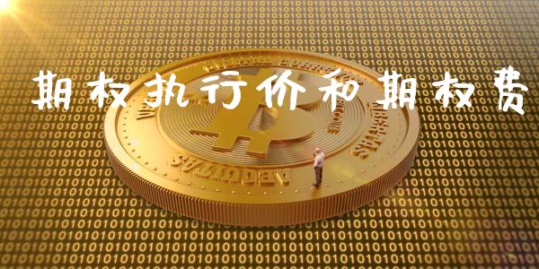 期权执行价和期权费_https://m.fsyjjx.cn_股指期货保证金_第1张