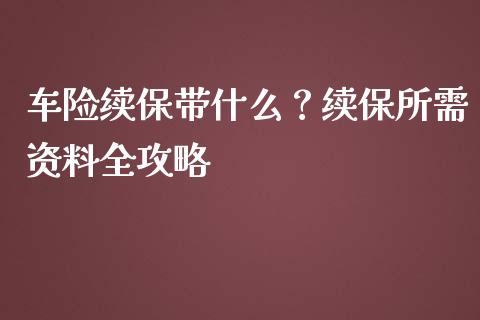 车险续保带什么？续保所需资料全攻略_https://m.fsyjjx.cn_期货保证金_第1张