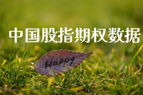 中国股指期权数据_https://m.fsyjjx.cn_期货保证金_第1张